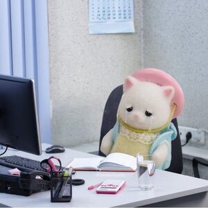 Meet your Posher, Taylor